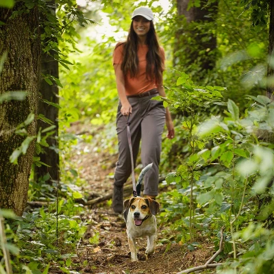 Nature's Recipe Grain Free Chicken, Sweet Potato & Pumpkin Recipe Small Breed Adult Dry Dog Food 3 Nature's Recipe Grain Free Chicken, Sweet Potato & Pumpkin Recipe Small Breed Adult Dry Dog Food - Image 3