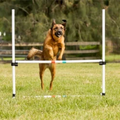 Midlee Dog Agility Bar Jump- Indoor Outdoor Hurdles Adjustable Pet Course Equipment -PawHut Store GUEST ae264ac0 08a6 4eb6 86c3 a29cbb6b9ab4