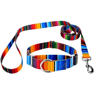 Country Brook Petz Serape Martingale Dog Collar And Leash 5 Country Brook Petz Serape Martingale Dog Collar And Leash - Image 5