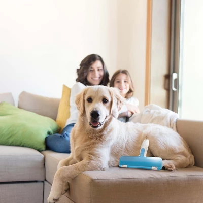 BOSHEL Pet Hair Remover - Lint Roller For Pet Hair - Dog Hair Remover With Big Hair Base - Easy Clean Chom Chom Roller With Comfy Rubber Handle 4 BOSHEL Pet Hair Remover - Lint Roller For Pet Hair - Dog Hair Remover With Big Hair Base - Easy Clean Chom Chom Roller With Comfy Rubber Handle - Image 4