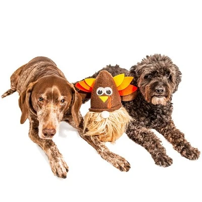 Midlee Thanksgiving Gnome Dog Toy With Hidden Ball 3 Midlee Thanksgiving Gnome Dog Toy With Hidden Ball - Image 3
