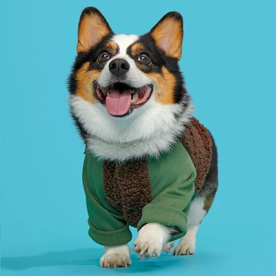BARK Home Varsity Dog Jacket - Green 3 BARK Home Varsity Dog Jacket - Green - Image 3
