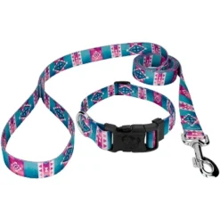 Country Brook Petz Albuquerque Deluxe Dog Collar And Leash -PawHut Store GUEST b1d981f7 9a95 4ef6 b718 eaad51dfab06