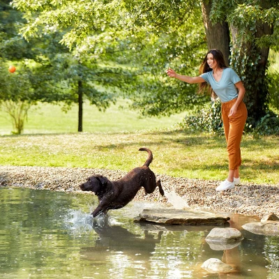 Nature's Recipe Grain Free Salmon, Sweet Potato & Pumpkin Recipe Dry Dog Food 2 Nature's Recipe Grain Free Salmon, Sweet Potato & Pumpkin Recipe Dry Dog Food - Image 2