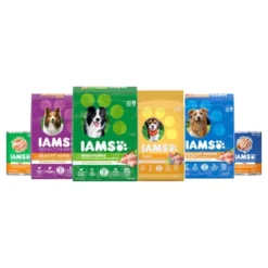 IAMS Advanced Chicken With Live Probiotics Adult Dry Dog Food -PawHut Store GUEST b204ab56 94f8 4c9a aeea 394364910fc2