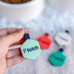 Lifekey Fetch Smart Pet Tag