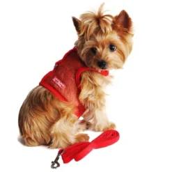 Doggie Design Cool Mesh Dog Netted Harness With Leash - Solid Red -PawHut Store GUEST b35ad72f 3a55 4ec9 8bd5 4a0b12ec128e