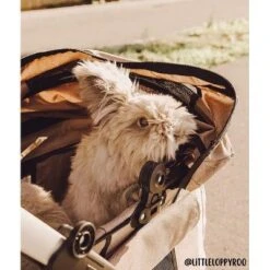 Petique Newport 3-in-1 Travel System Comfortable & Spacious Pet Animal Stroller -PawHut Store GUEST b538caf0 ea54 4b9a 804c bef2fa8d34ea