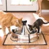 PetSafe Drinkwell Stainless Multi-Pet Fountain - Stainless Steel