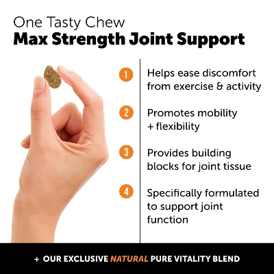 Pet Honesty Hip & Joint Health Max Strength Supplement Soft Chews For Dogs, 90 Ct 1 Pet Honesty Hip & Joint Health Max Strength Supplement Soft Chews For Dogs, 90 Ct