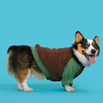 BARK Home Varsity Dog Jacket - Green 4 BARK Home Varsity Dog Jacket - Green - Image 4