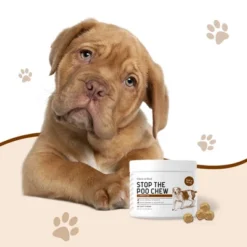 Chew + Heal Stop The Poo Coprophagia Treatment, Dog Supplement, Deters Dogs From Eating Poop - 120 Delicious Chews 12 Chew + Heal Stop The Poo Coprophagia Treatment, Dog Supplement, Deters Dogs From Eating Poop - 120 Delicious Chews -PawHut Store GUEST b75b079a 1c83 45b9 ac33 b7be686caa9c
