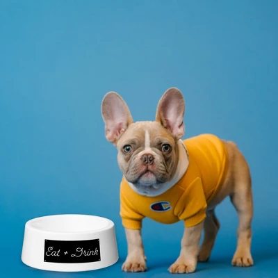 Amici Pet Ceramic Eat + Drink Bowl Large, Pet Food And Water Feeder, Anti-Slip Ceramic Treat Bowl, White Bowl, 24-Ounce 1 Amici Pet Ceramic Eat + Drink Bowl Large, Pet Food And Water Feeder, Anti-Slip Ceramic Treat Bowl, White Bowl, 24-Ounce