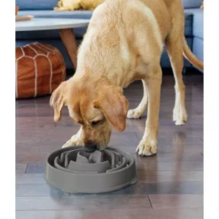 Outward Hound Fun Feeder Slo-Bowl For Dogs - L - Gray