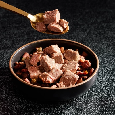 Cesar Classic Loaf In Sauce Grilled Chicken, Filet Mignon, Porterhouse Steak, Beef, Chicken & Liver And Turkey Adult Wet Dog Food - 3.5oz/36ct 6 Cesar Classic Loaf In Sauce Grilled Chicken, Filet Mignon, Porterhouse Steak, Beef, Chicken & Liver And Turkey Adult Wet Dog Food - 3.5oz/36ct - Image 6