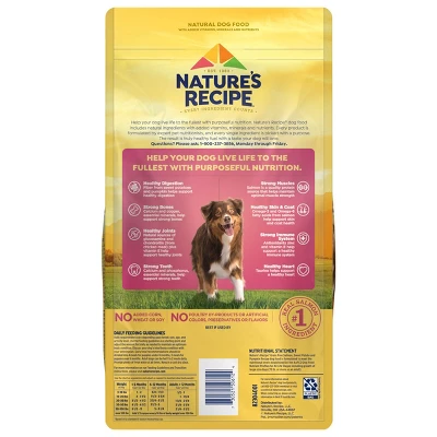 Nature's Recipe Grain Free Salmon, Sweet Potato & Pumpkin Recipe Dry Dog Food 1 Nature's Recipe Grain Free Salmon, Sweet Potato & Pumpkin Recipe Dry Dog Food
