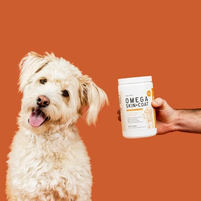 Chew + Heal Omega Skin + Coat, Dog Supplement, Salmon Oil With Essential Fatty Acids & Vitamins - 360 Delicious Chews 6 Chew + Heal Omega Skin + Coat, Dog Supplement, Salmon Oil With Essential Fatty Acids & Vitamins - 360 Delicious Chews - Image 6