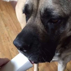 Pawstruck Filled Dog Bones Variety Pack - Made In USA Stuffed 3 To 6" Femur Dog Chews, American Made - 3 Flavors -PawHut Store GUEST be11504f 80b0 48e5 bc0c 5e35bd2bb7a2