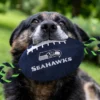 NFL Seattle Seahawks Nylon Football