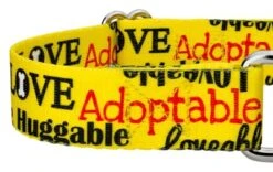 Country Brook Petz Yellow Loveable Rescue Martingale Dog Collar -PawHut Store GUEST bf255710 1f12 494b 8ca3 09f977bb6efa