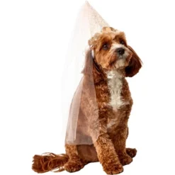 Rubies Fairy Pet Accessory Kit Medium/Large 5 Rubies Fairy Pet Accessory Kit Medium/Large -PawHut Store GUEST bf661d47 1187 445c a5d4 5fa4f1af4080 1