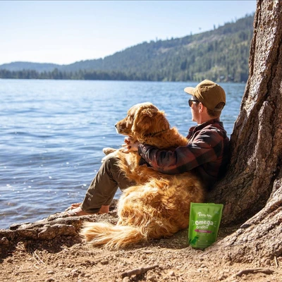 Zesty Paws Hemp Elements Omega Orastix For Dogs - Peppermint Flavor - 12oz 4 Zesty Paws Hemp Elements Omega Orastix For Dogs - Peppermint Flavor - 12oz - Image 4