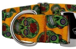 Country Brook Petz 1 1/2 Inch Premium Sugar Skulls Dog Collar 6 Country Brook Petz 1 1/2 Inch Premium Sugar Skulls Dog Collar -PawHut Store GUEST c0e26371 0fb9 4d47 9e92 c4ff30d3f6a9
