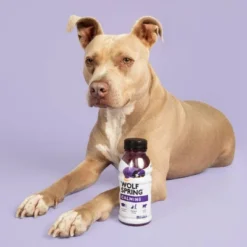 Wolf Spring Calming Wet Dog Food Topper Supplement With Coconut Water -PawHut Store GUEST c11f34b7 7568 4f3c b752 0eb7d65e7d24