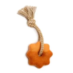 AWOO Felt Wheely Good Time Rope Dog Toy - 2" -PawHut Store GUEST c230c8d5 9cf3 47f2 8e75 8905bfa339dc