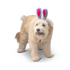 Midlee Easter Bunny Gray & Pink Dog Rabbit Ears With Tail (Small) -PawHut Store GUEST c281326a 01af 44c7 a7f5 78726ca152bf