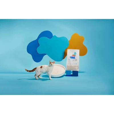 PrettyLitter Cat Litter - 8lb 2 PrettyLitter Cat Litter - 8lb - Image 2