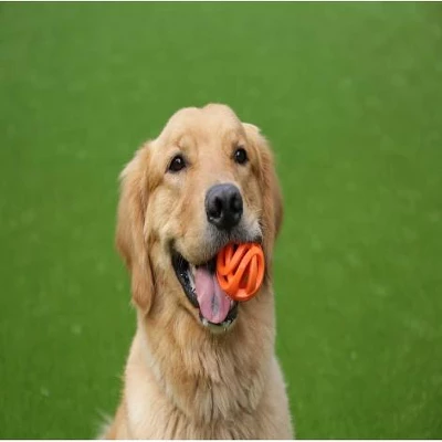 Chuckit! Chuckit Breathe Right Fetch Ball - Small(2 Count) 2 Chuckit! Chuckit Breathe Right Fetch Ball - Small(2 Count) - Image 2