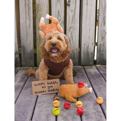 Thanksgiving Dog Tennis Balls 2 Thanksgiving Dog Tennis Balls - Image 2