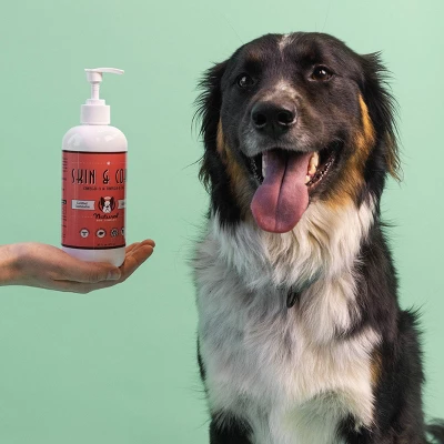 Natural Dog Company Skin & Coat Oil Food Topper - Salmon - 16oz 3 Natural Dog Company Skin & Coat Oil Food Topper - Salmon - 16oz - Image 3