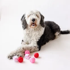 Midlee Valentine Plush Balls Dog Toy - Set Of 6 -PawHut Store GUEST c5174627 cae5 44f9 a4aa 20482b254175