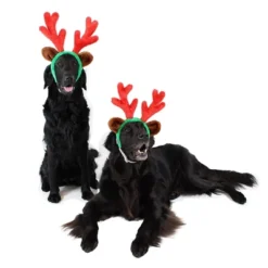 Midlee Christmas Reindeer Antlers With Ears For Large Dogs