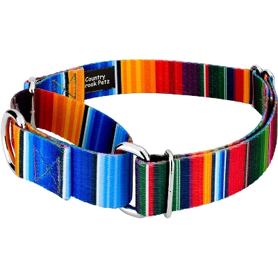 Country Brook Petz Serape Martingale Dog Collar And Leash 1 Country Brook Petz Serape Martingale Dog Collar And Leash