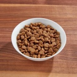 IAMS Proactive Health Urinary Tract Health With Chicken Adult Premium Dry Cat Food -PawHut Store GUEST c5e2cb99 7e02 4b27 97ea f580784720b5