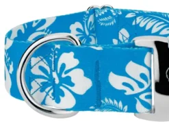 Country Brook Petz 1 1/2 Inch Premium Blue Hawaiian Dog Collar -PawHut Store GUEST c65aec90 d58c 4249 8863 1ca65517a073