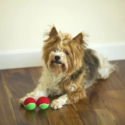 Midlee 1.5" Mini Squeaker Christmas Dog Tennis Balls - Red/Green Pack Of 12 -PawHut Store GUEST c83edbbf 9483 436e bcb3 ad25caa9120f