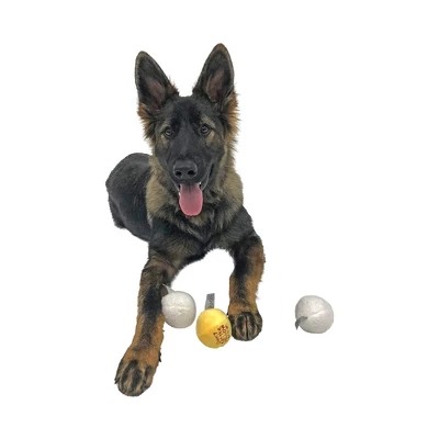 Midlee Snowball Fight Plush Dog Toy - 3" 2 Midlee Snowball Fight Plush Dog Toy - 3" - Image 2