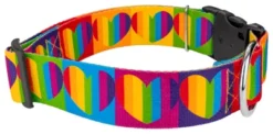 Country Brook Petz 1 1/2 Inch Deluxe Rainbow Hearts Dog Collar -PawHut Store GUEST c8a71c2d efb8 4041 a88e 696d4cfe6bb8