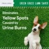 Chew + Heal Lawn Saver, Dog Supplement, Reduces Yellow Spots And Burns On Grass From Urine - 120 Delicious Chews