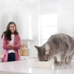 Blue Buffalo Tastefuls Savory Singles Adult Cuts In Gravy Wet Cat Food Variety Pack With Chicken And Turkey Entrée - 12ct/31.2oz -PawHut Store GUEST c933b2ef e8ad 4d53 95ba e0b0b90e07bb 1