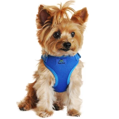 Doggie Design Wrap And Snap Choke Free Dog Harness - Cobalt Blue 5 Doggie Design Wrap And Snap Choke Free Dog Harness - Cobalt Blue - Image 5