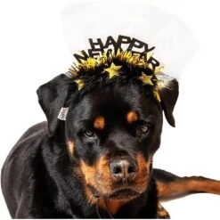 Midlee Happy New Year Dog Headband -PawHut Store GUEST cbd88c4e 5a2c 4e05 8e66 3e01732c8b53