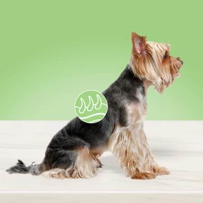 Blue Buffalo True Solutions Perfect Coat Skin And Coat Care Adult Salmon Flavor Dry Dog Food - 24lb 2 Blue Buffalo True Solutions Perfect Coat Skin And Coat Care Adult Salmon Flavor Dry Dog Food - 24lb - Image 2