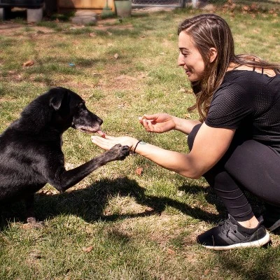 VetIQ Probiotic Support Dog Supplements - Smoke - 60ct 3 VetIQ Probiotic Support Dog Supplements - Smoke - 60ct - Image 3