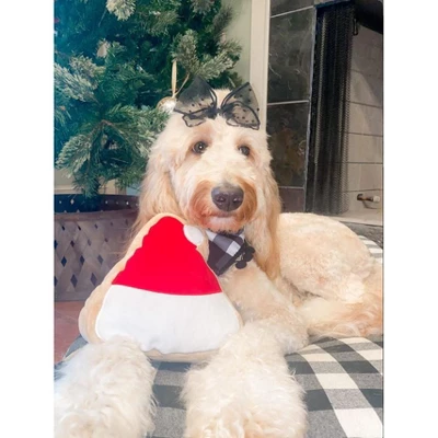 Midlee Christmas Sugar Cookie Plush Dog Toy 3 Midlee Christmas Sugar Cookie Plush Dog Toy - Image 3