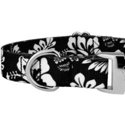 Country Brook Petz Premium Black Hawaiian Dog Collar And Leash -PawHut Store GUEST cfe534e3 53ca 40e3 b911 70cc5e080fbb